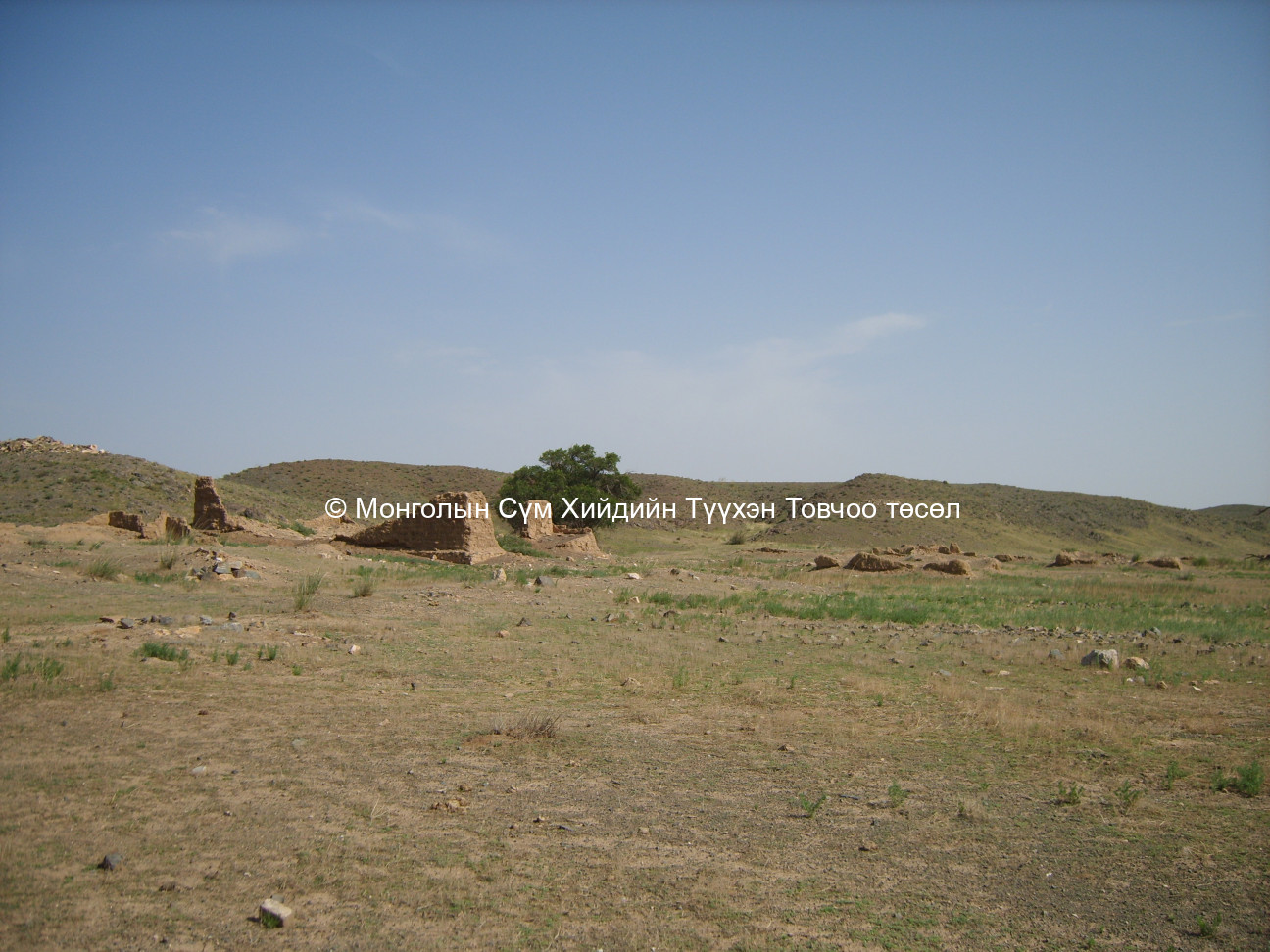 Баруун -Урд талаас авсан